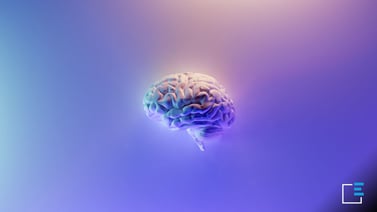 Neuromarketing cos'è e come funziona